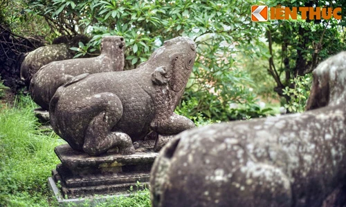 Tận mục bộ 10 linh thú nghìn tuổi quý giá nhất Việt Nam