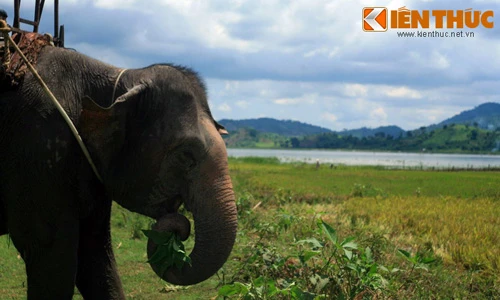 Vẻ đẹp của hồ nước huyền thoại nổi tiếng nhất Tây Nguyên