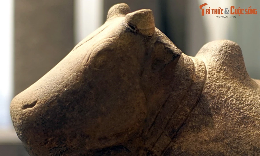 Loạt cổ vật vô giá của vương quốc Champa ở TP HCM