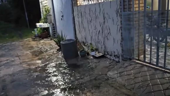 Phát hoảng hàng nghìn con giun leo lên tường nhà ở Vũng Tàu