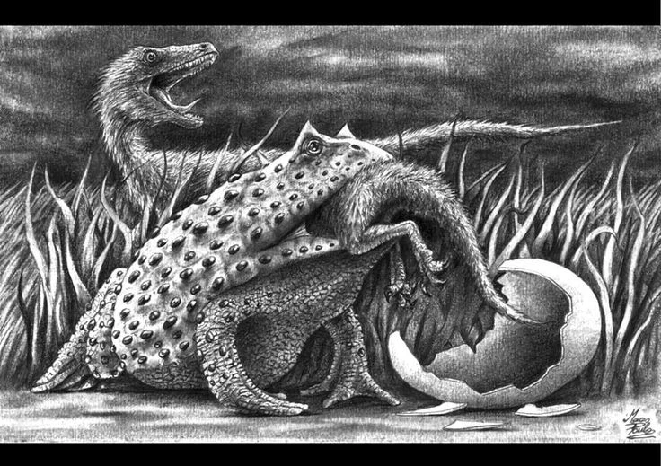 Loài ếch "ma quỷ" đáng sợ nhất thế giới, nuốt chửng cả khủng long