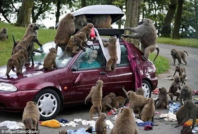 Dở khóc dở cười với những sự cố trên đường du lịch