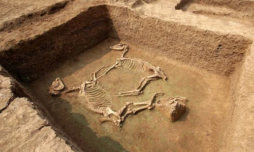 Khám phá lăng mộ ngựa có 1-0-2 ở Trung Quốc 