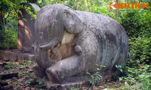 Cận cảnh cặp voi đá cổ lớn nhất Việt Nam