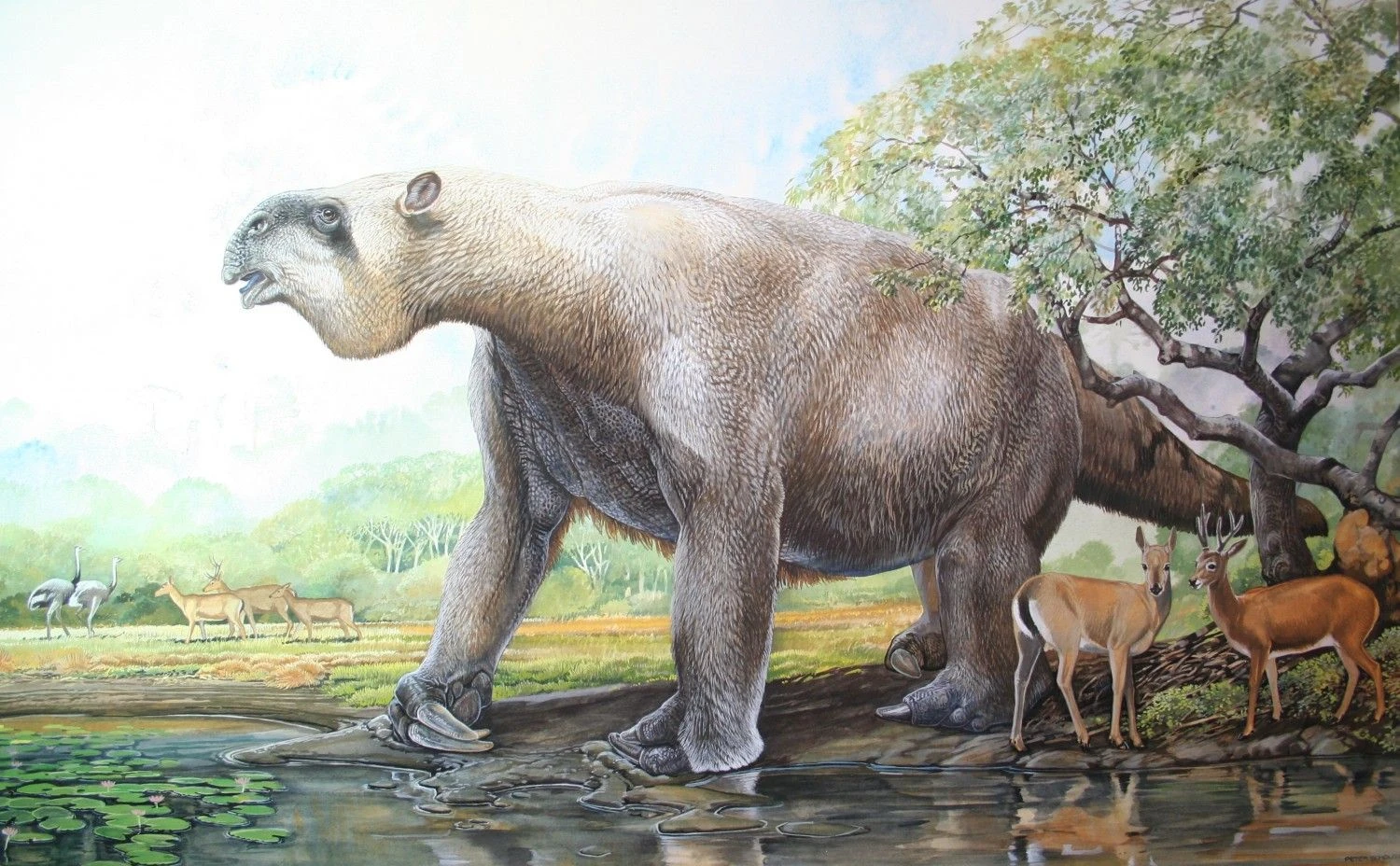 Khó tin loài lười khổng lồ thời tiền sử, bơi cực giỏi