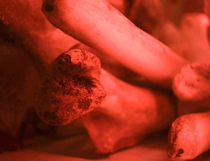 Hàng chục bộ xương kỳ lạ trong ngôi đình cổ