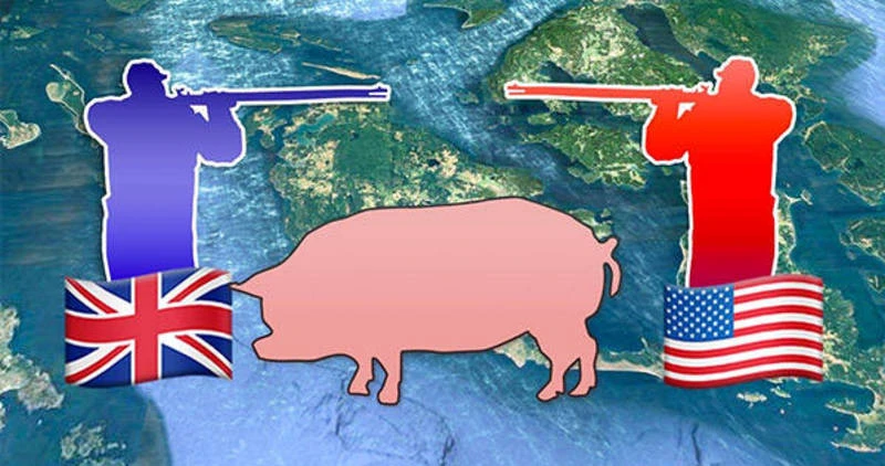 Giải mã bất ngờ về chiến tranh Lợn điên rồ nhất