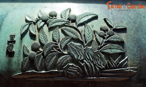 Dược liệu quý nào được khắc trên Cửu Đỉnh nhà Nguyễn?