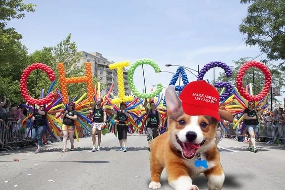 Cười lăn lộn với chú chó trở thành siêu sao ảnh chế