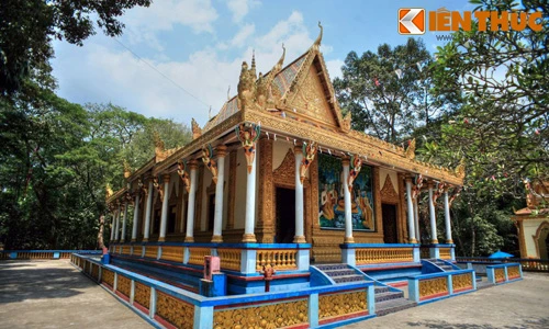 Ngôi chùa dơi quạ đua nhau về làm tổ bí ẩn nhất VN