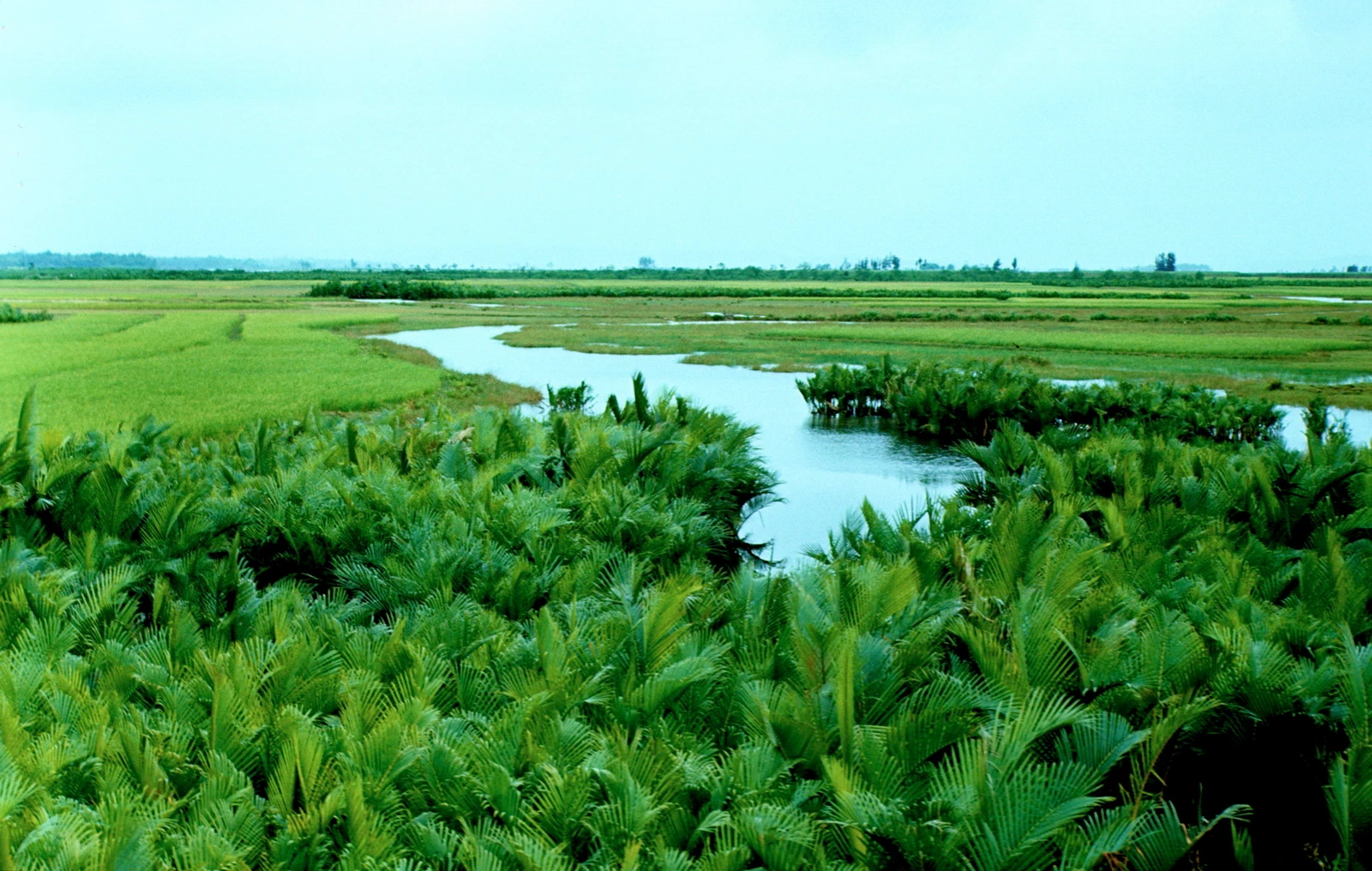 Ảnh phong cảnh đẹp hút hồn về Quảng Ngãi năm 1967 (2)