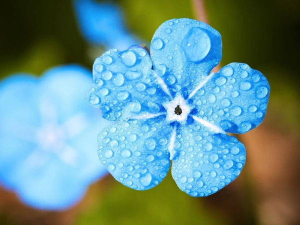 3 tuổi tài lộc kéo đến lũ lượt tháng 5 dương, giàu chất ngất