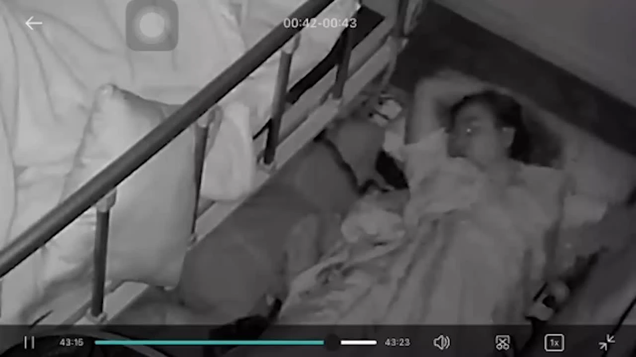 Kinh hãi cảnh rắn bò vào giường giữa đêm, người phụ nữ dùng tay sờ