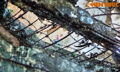 Tận mục tàn tích khủng khiếp của cuộc chiến tranh Việt Nam 