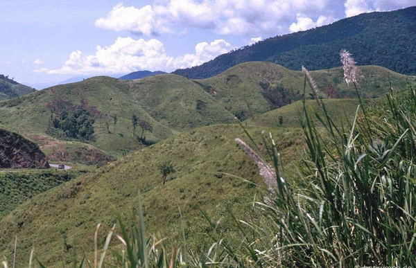 Kho ảnh khổng lồ về VN 1991-1993: Đại ngàn Tây Nguyên