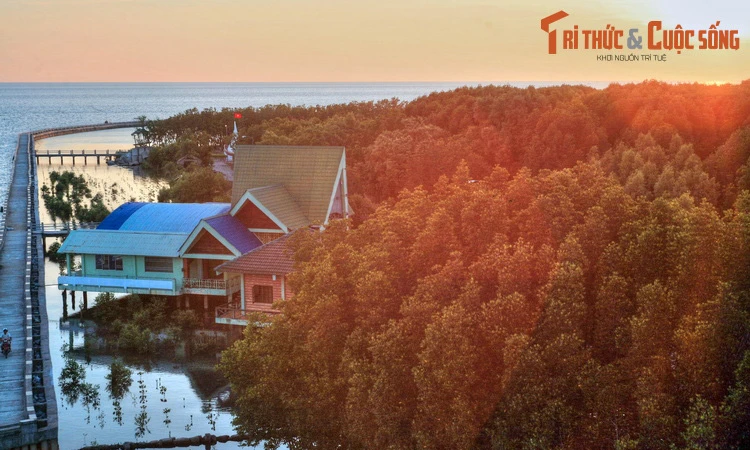 Điều bất ngờ về rừng ngập mặn lớn thứ nhì thế giới ở Việt Nam