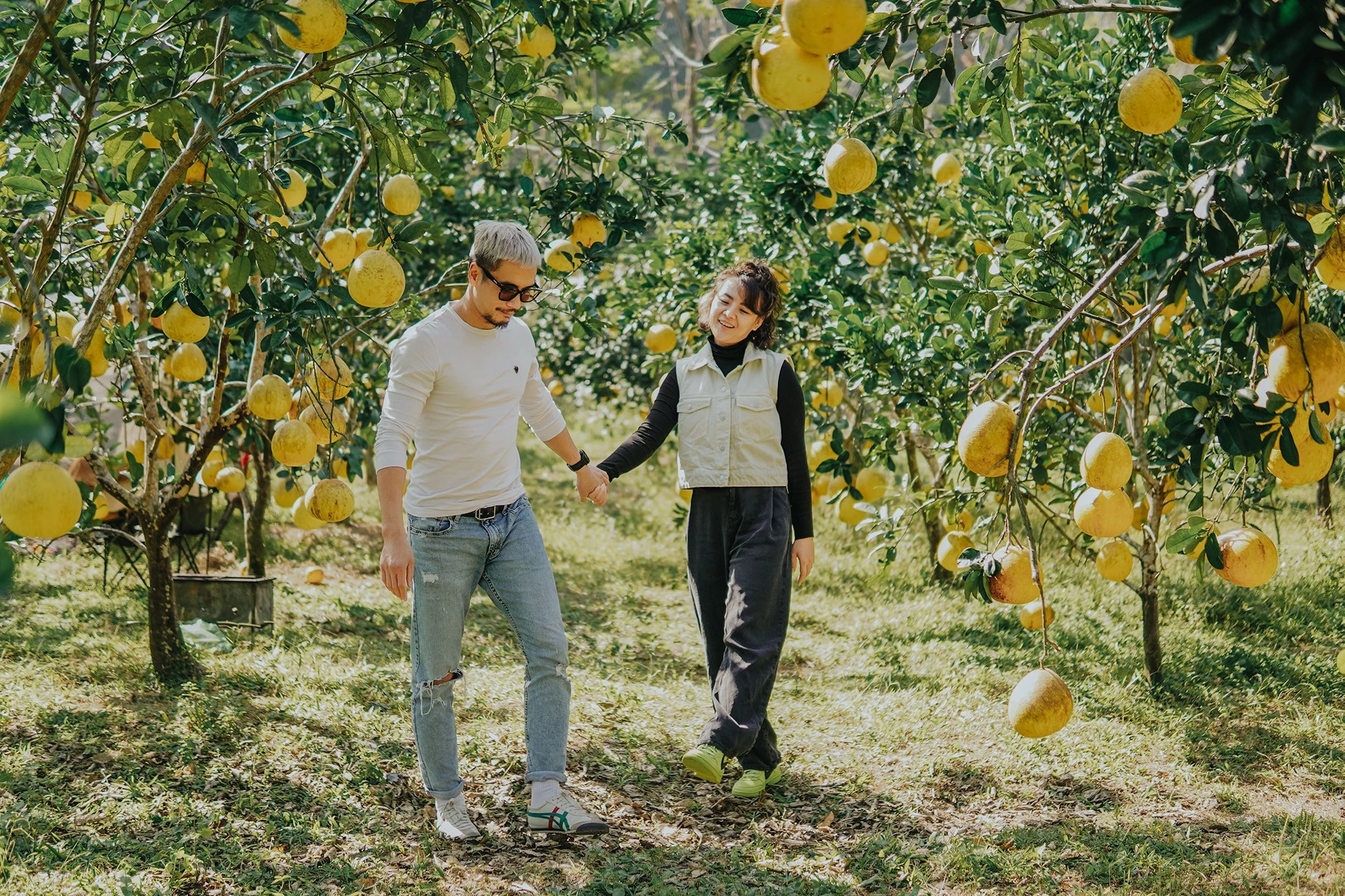 Vườn bưởi diễn thơm nức hút khách check-in dịp đầu năm ở Lạng Sơn