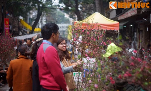 Bí mật lịch sử chưa một lần hé lộ về chợ hoa Hàng Lược 
