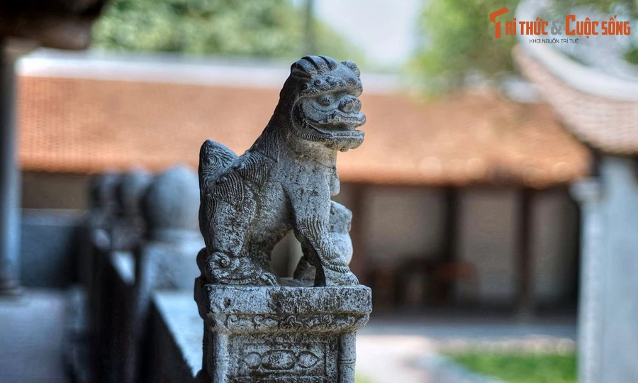 Những bí mật ít người biết về linh vật sư tử thuần Việt