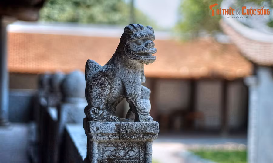 Những bí mật ít người biết về linh vật sư tử thuần Việt