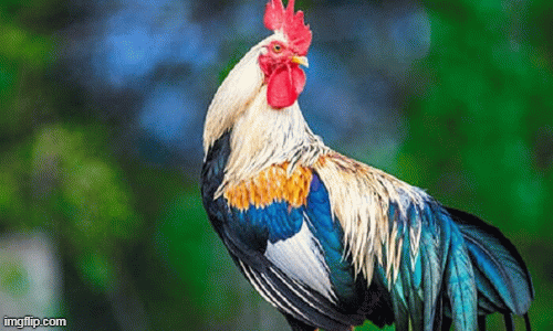 Người sinh vào tháng âm lịch này năm Nhâm Dần làm ăn hồng phát