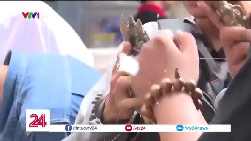 Làm sao chơi đồ cổ cho đáng "đồng tiền bát gạo"?