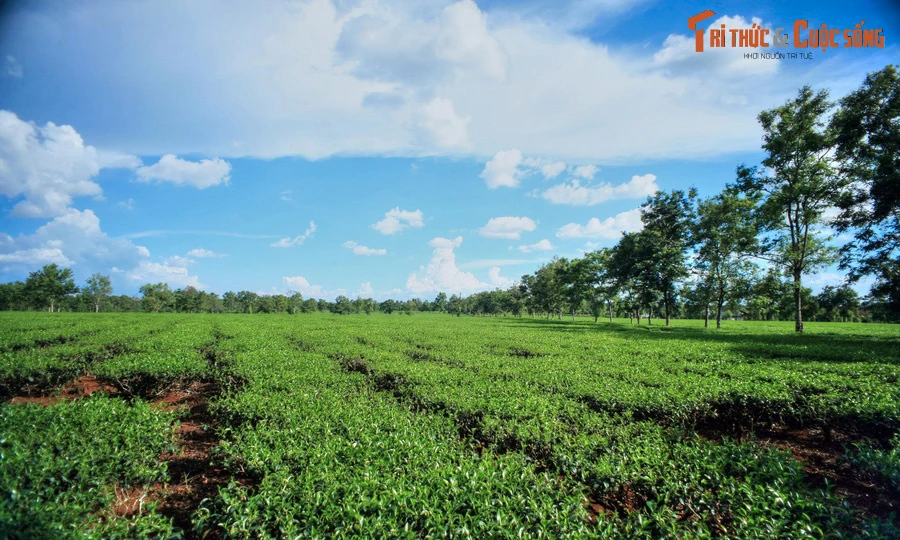 Có gì hot trên cung đường từ Pleiku đi Kon Tum?