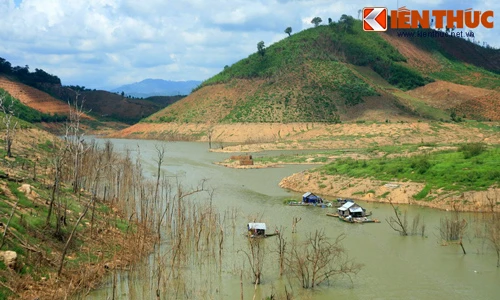 Ngắm vẻ ma mị của hồ Buôn Tua Srah ở Tây Nguyên