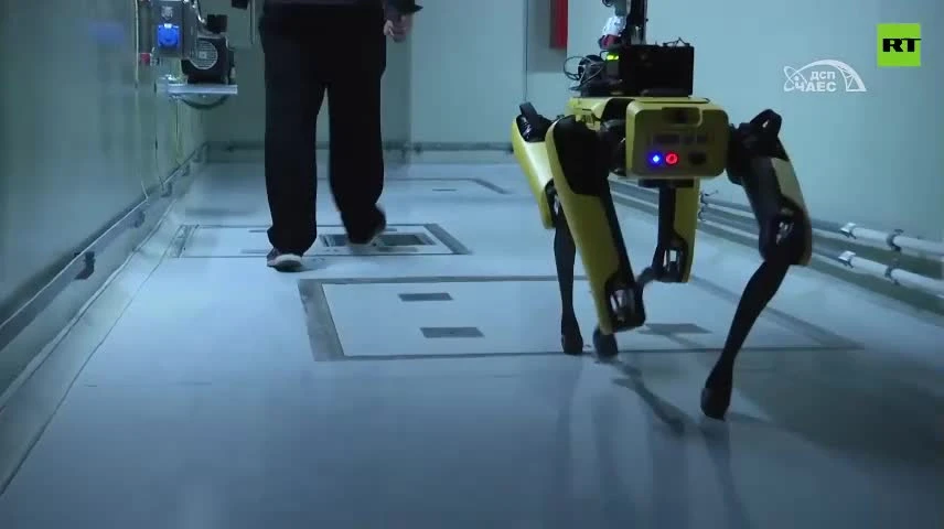 Video: Chó robot theo dõi nhiễm xạ ở Chernobyl