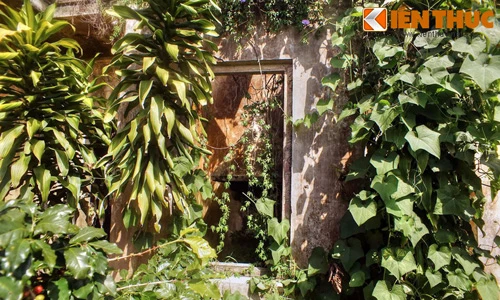 Những nhà ga “ma ám” ở Đà Lạt: Kỳ 4 - Ga Đa Thọ