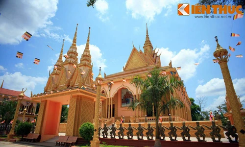 Giải mã ngôi chùa cò đua nhau về làm tổ độc nhất VN