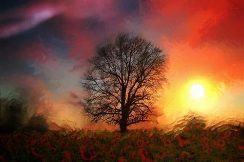 Ngắm những bức ảnh đẹp siêu tưởng được chụp từ iphone (2)