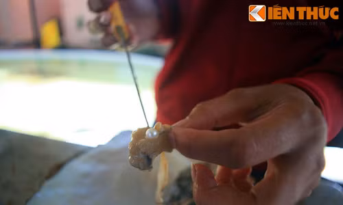 Khám phá vương quốc ngọc trai nổi tiếng nhất Việt Nam