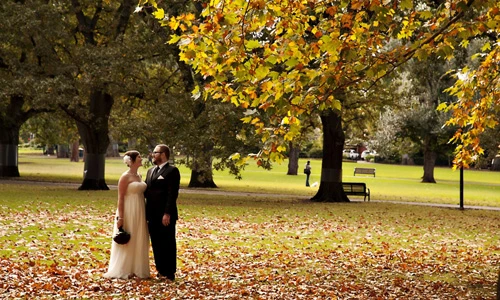 Lặng ngắm khu vườn cổ xưa tuyệt đẹp của Austrailia