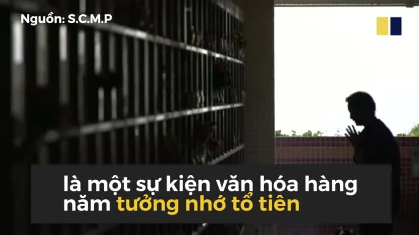 Sống ở Hong Kong đắt đỏ, mức giá cho người chết cũng khổng lồ