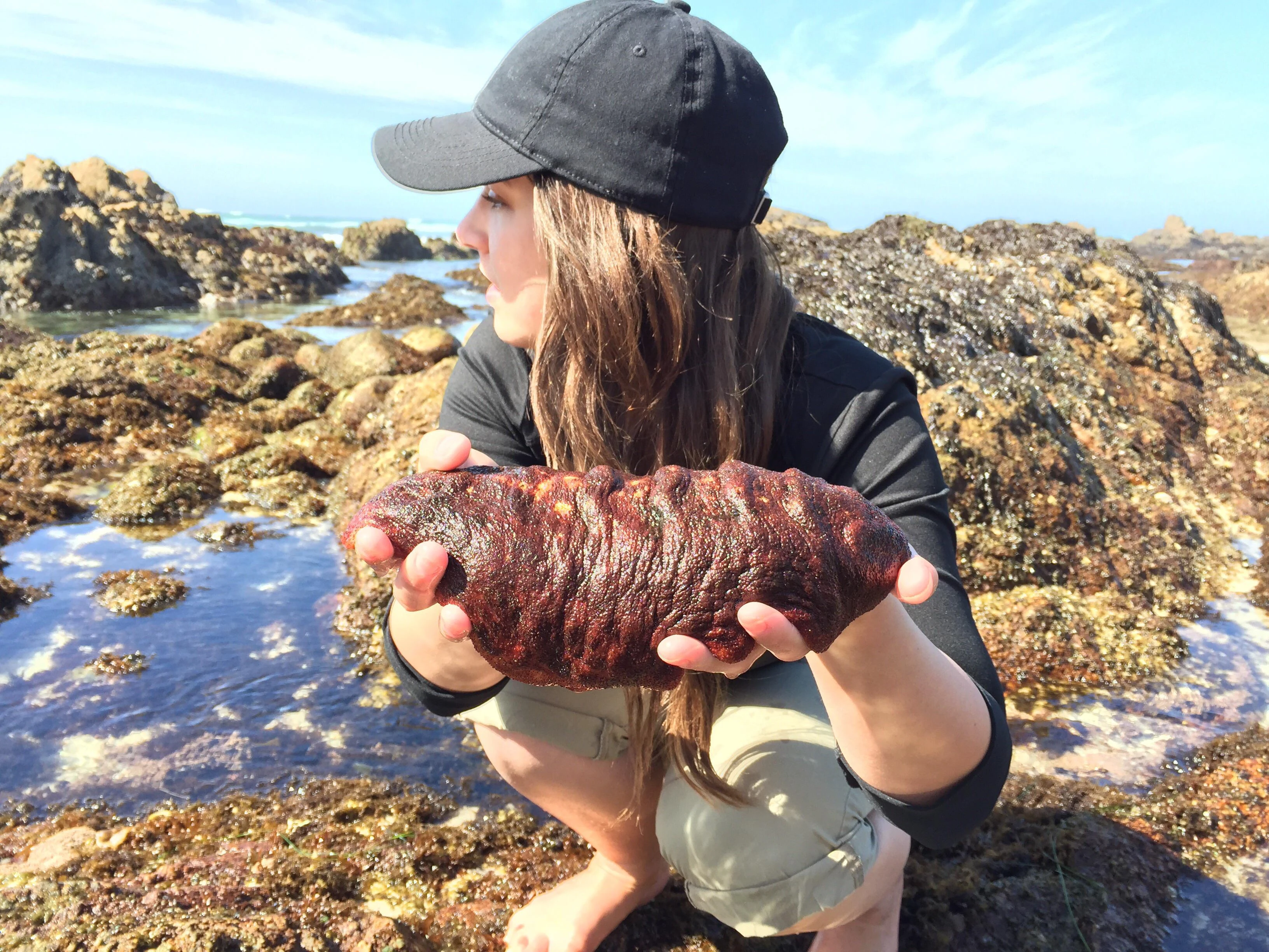 Kỳ lạ loài động vật trông như miếng thịt di động