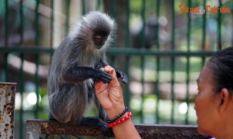 Top 10 địa điểm phải ghé thăm ở phường Sài Gòn, TP HCM