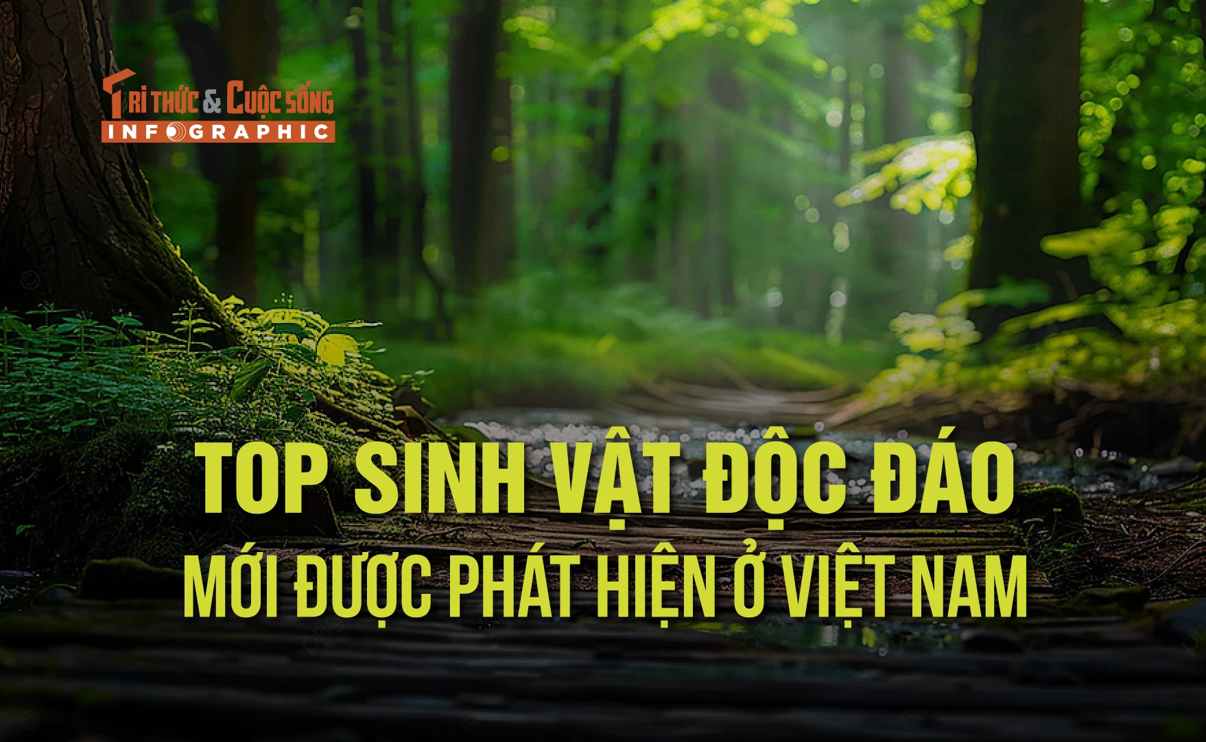 [INFOGRAPHIC] 7 sinh vật độc đáo mới được phát hiện ở Việt Nam