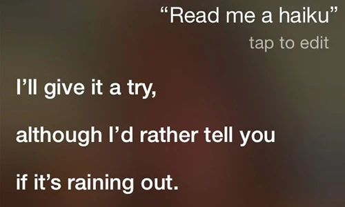 15 câu trả lời "khó đỡ" của Siri trên iPhone