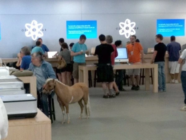Những hình ảnh hài hước chỉ có tại Apple Store
