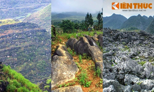 Ngỡ ngàng cảnh tượng khó tin ở cao nguyên đá Đồng Văn