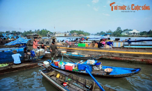 Những điều kỳ thú của chợ nổi Ba Ngàn ở Hậu Giang