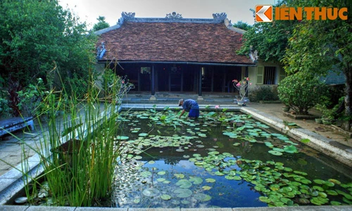 Khám phá nhà vườn đẹp nhất xứ Huế 