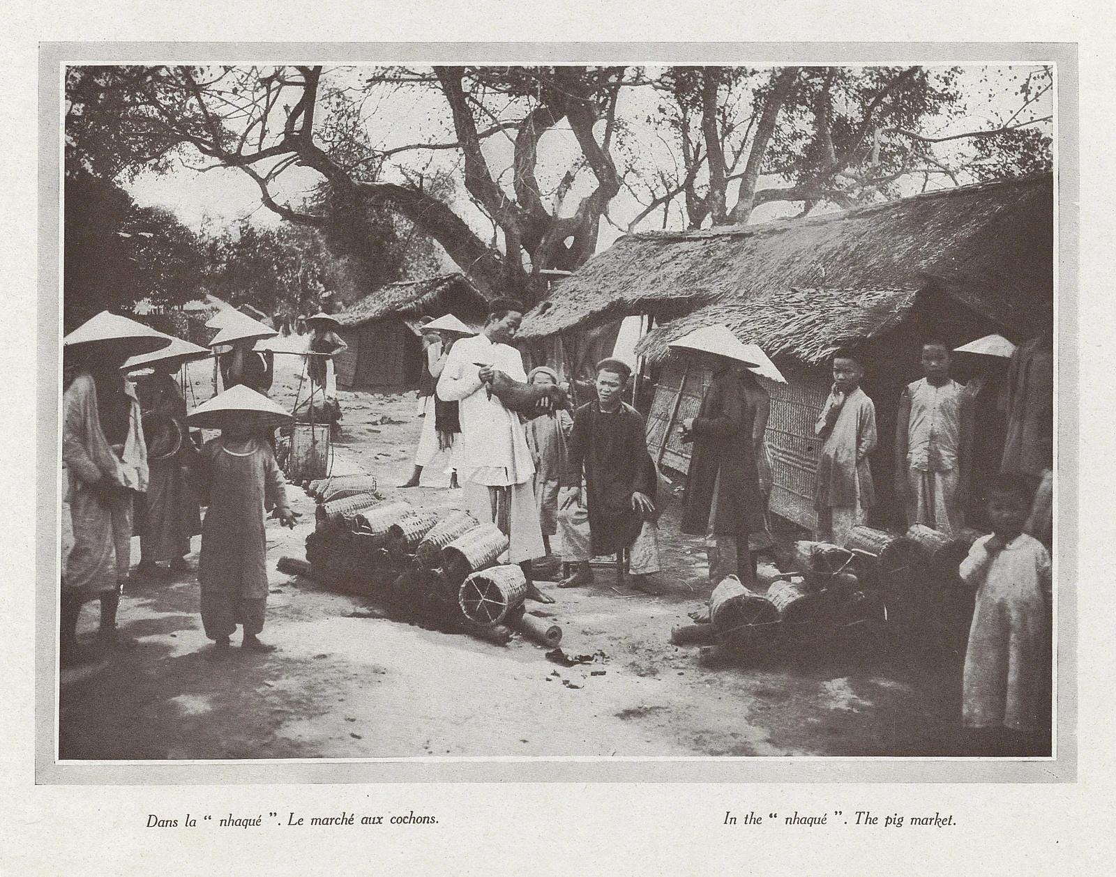 Ảnh “chất như nước cất” về đời thường ở Huế 100 năm trước