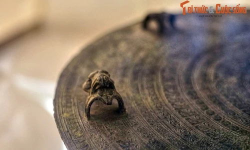 Khám phá thế giới động vật phong phú trên cổ vật Đông Sơn