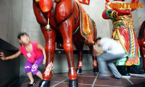 Độc đáo tục chui bụng ngựa Xích Thố cầu may đầu năm