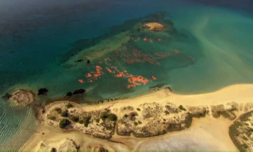 Bí ẩn thành phố dưới đáy biển thời Hy Lạp cổ đại