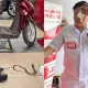 Sửa xe giữa trưa, kỹ thuật viên bất ngờ bị rắn phun độc
