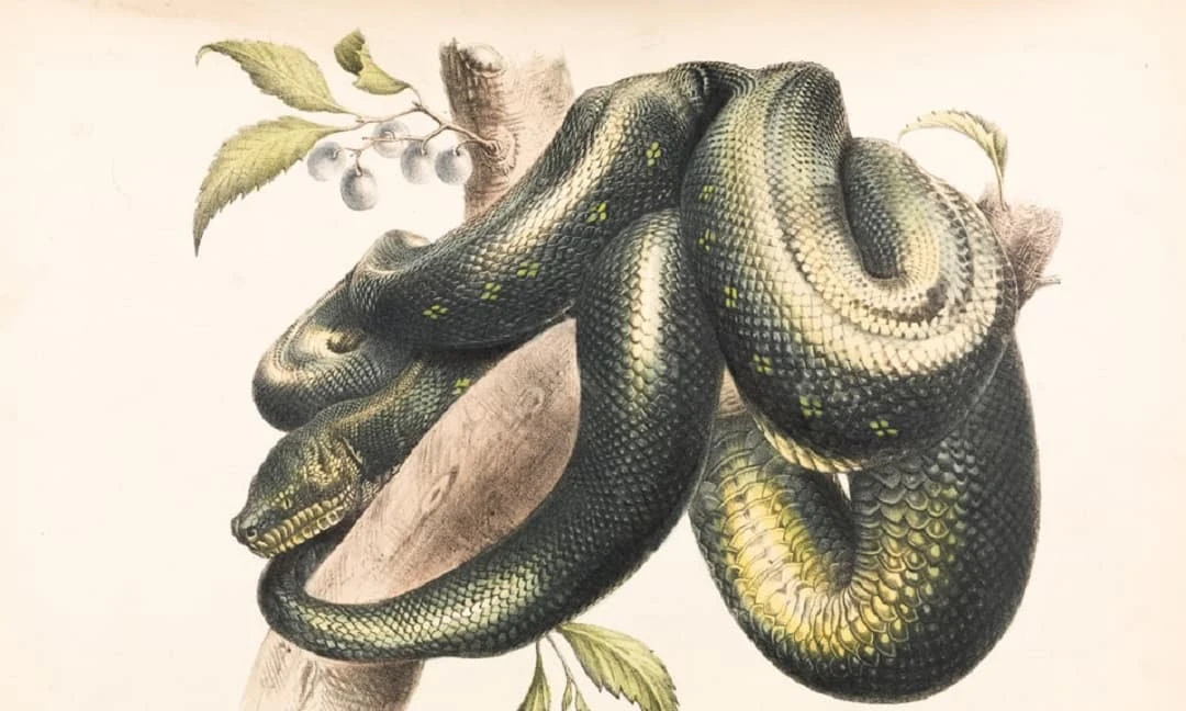 Tuần mới (6/6-12/6/2022): Top 3 con giáp vận đỏ như son, sự nghiệp sáng chói