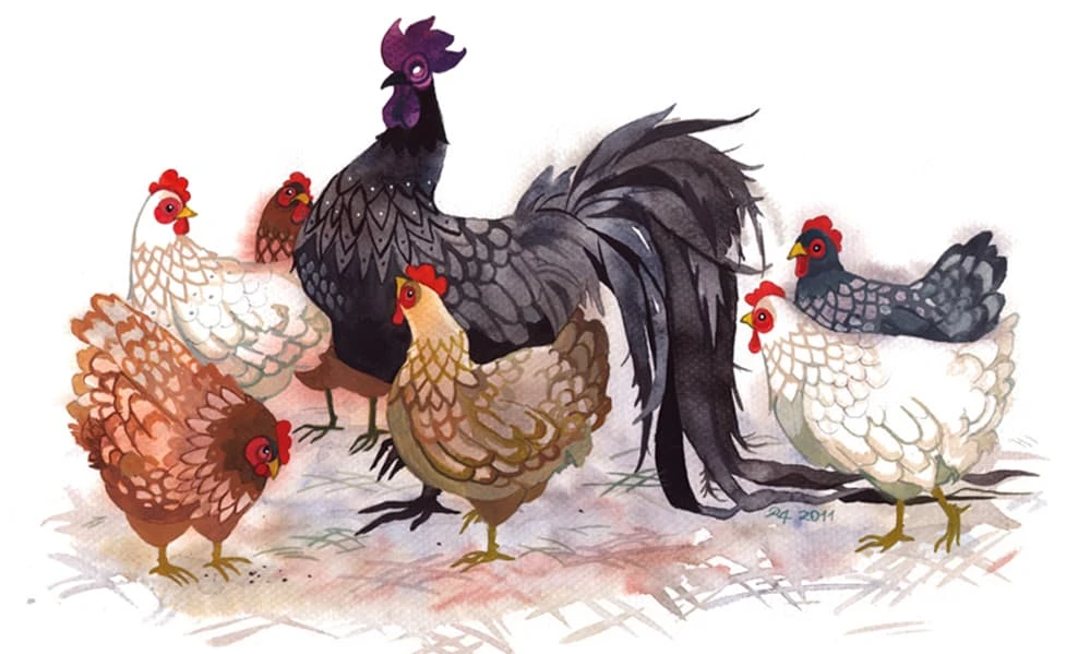 Từ tháng 7 âm tới hết 2022: 3 con giáp hết khổ, vùng lên giàu có